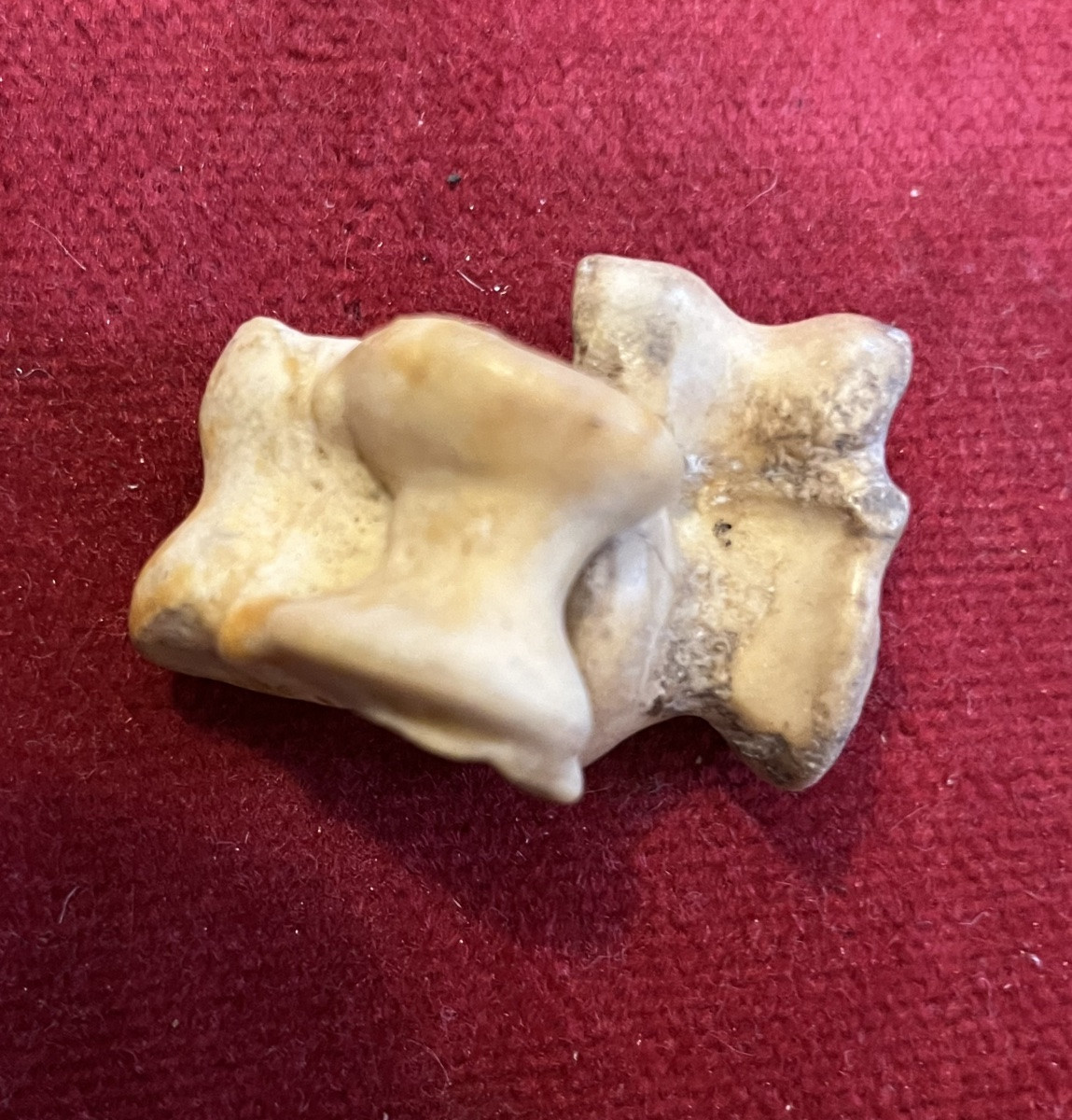 Rare Game Of Osselets , Made With Small Bones. III D Century. -photo-1