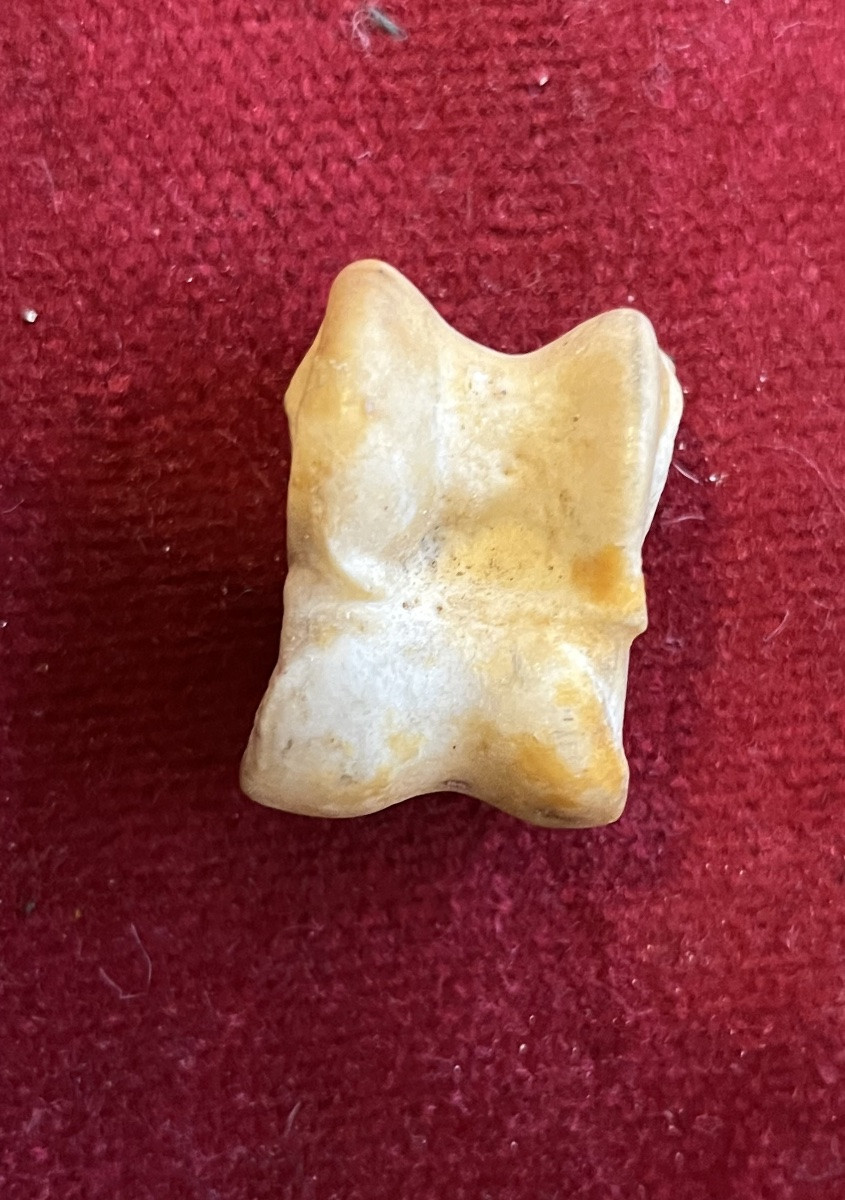 Rare Game Of Osselets , Made With Small Bones. III D Century. -photo-5