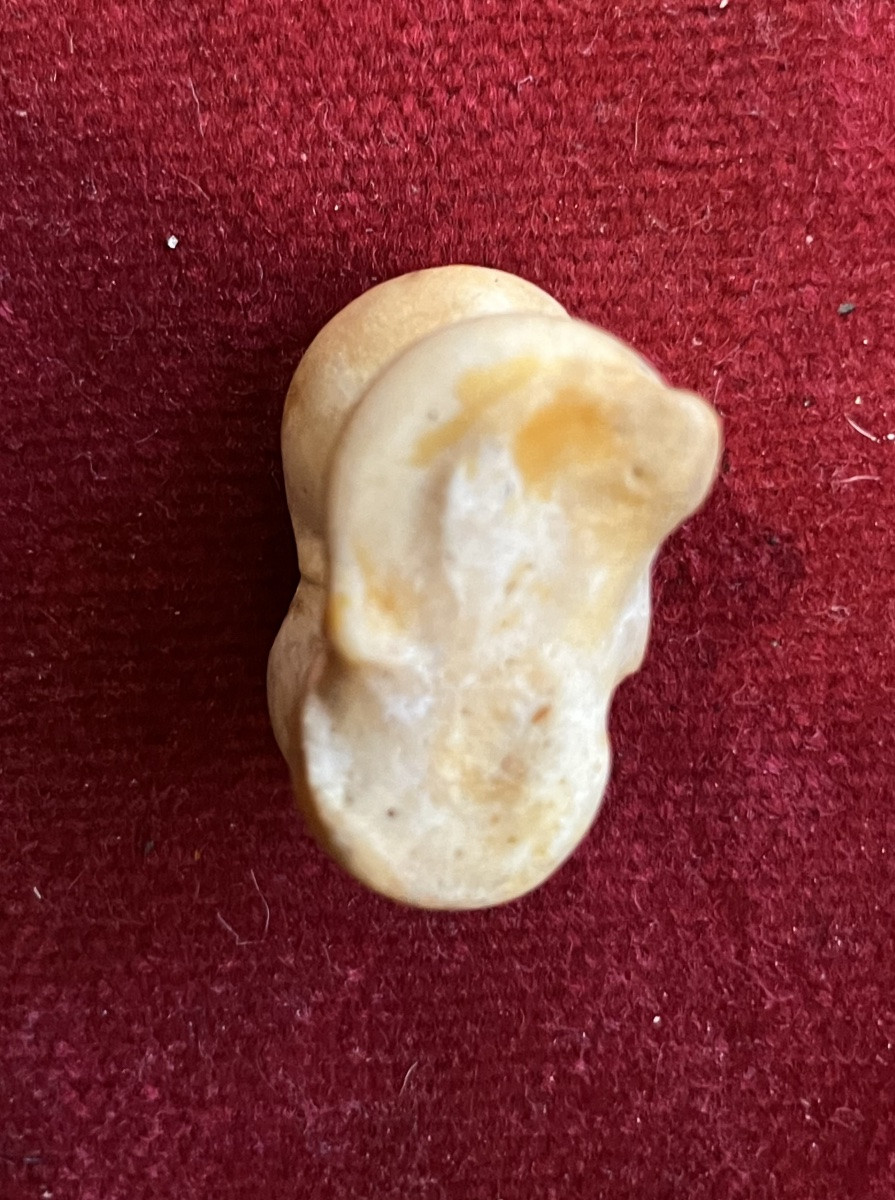 Rare Game Of Osselets , Made With Small Bones. III D Century. -photo-6