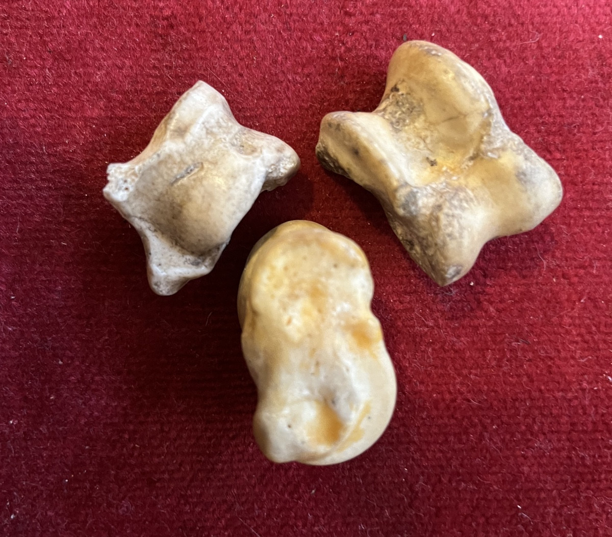 Rare Game Of Osselets , Made With Small Bones. III D Century. 