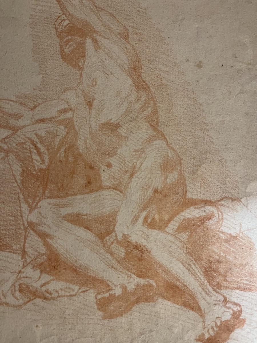 Grande étude d’anatomie masculine, sanguine, XVIII éme siècle.-photo-2