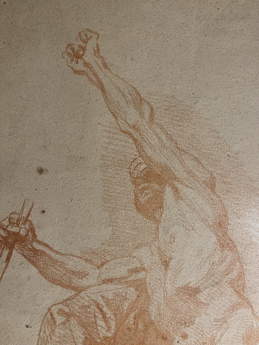 Grande étude d’anatomie masculine, sanguine, XVIII éme siècle.-photo-1