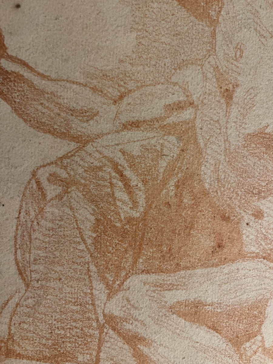 Grande étude d’anatomie masculine, sanguine, XVIII éme siècle.-photo-3