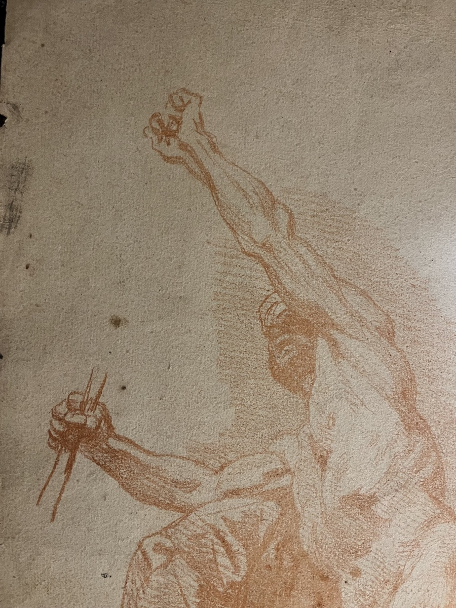 Grande étude d’anatomie masculine, sanguine, XVIII éme siècle.-photo-5