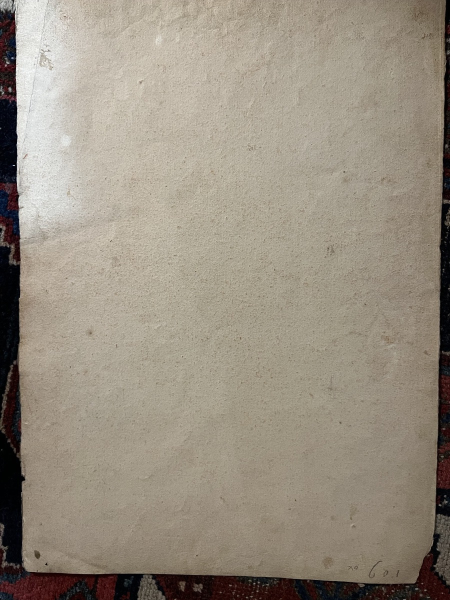 Grande étude d’anatomie masculine, sanguine, XVIII éme siècle.-photo-6