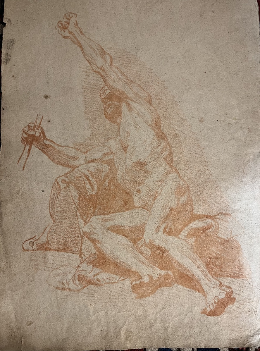 Grande étude d’anatomie masculine, sanguine, XVIII éme siècle.