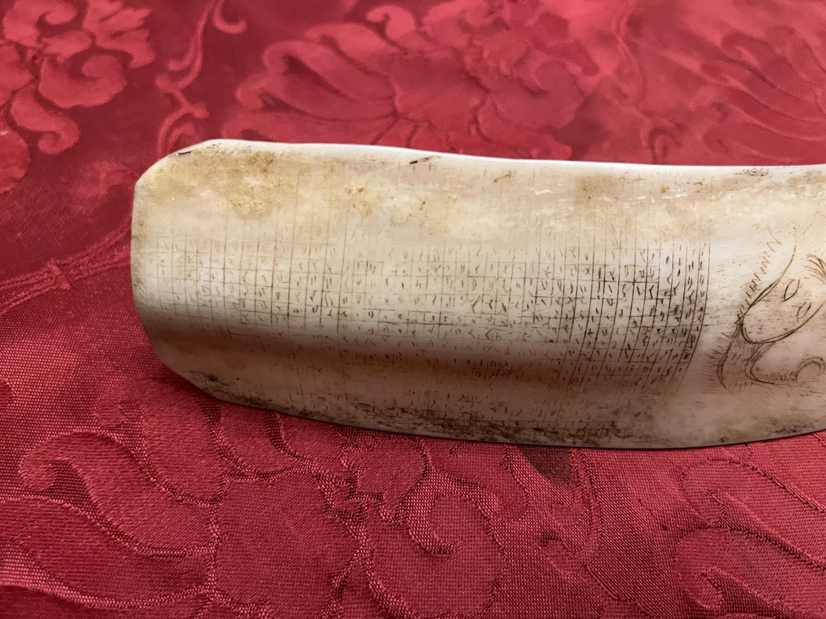 Engraved Animal Bone Blade, Late 19th, Early 20th Century. -photo-3