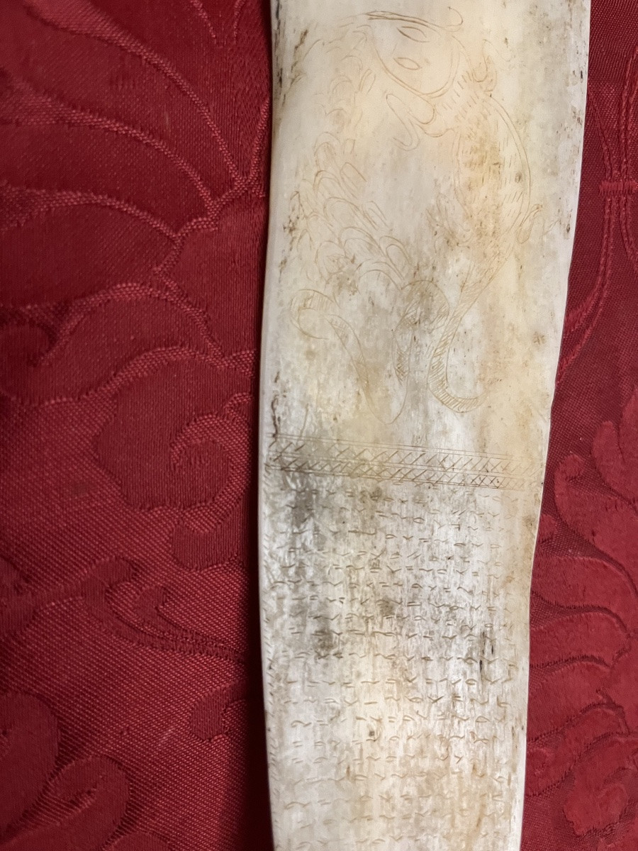 Engraved Animal Bone Blade, Late 19th, Early 20th Century. -photo-8