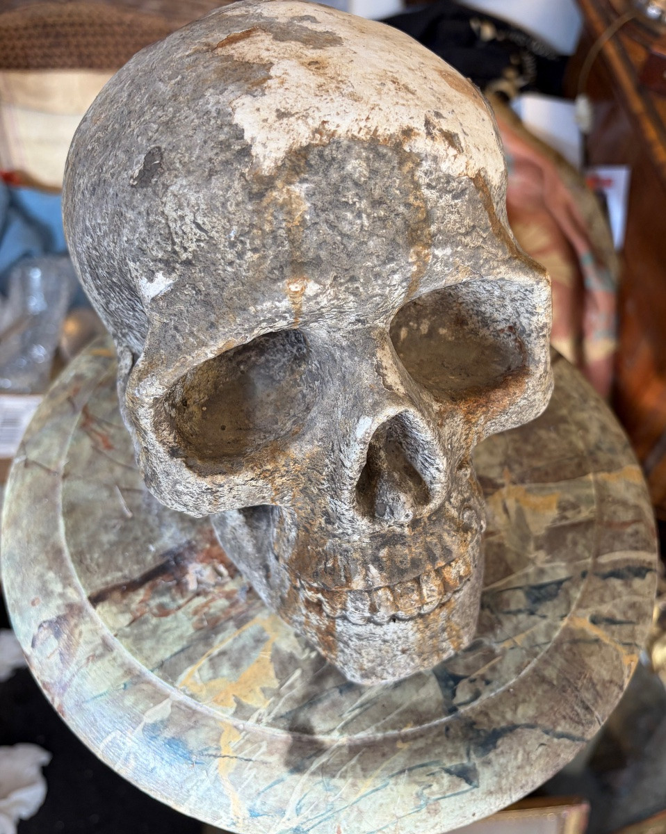 Life-size Skull And Crossbones, Reconstituted Stone.-photo-3