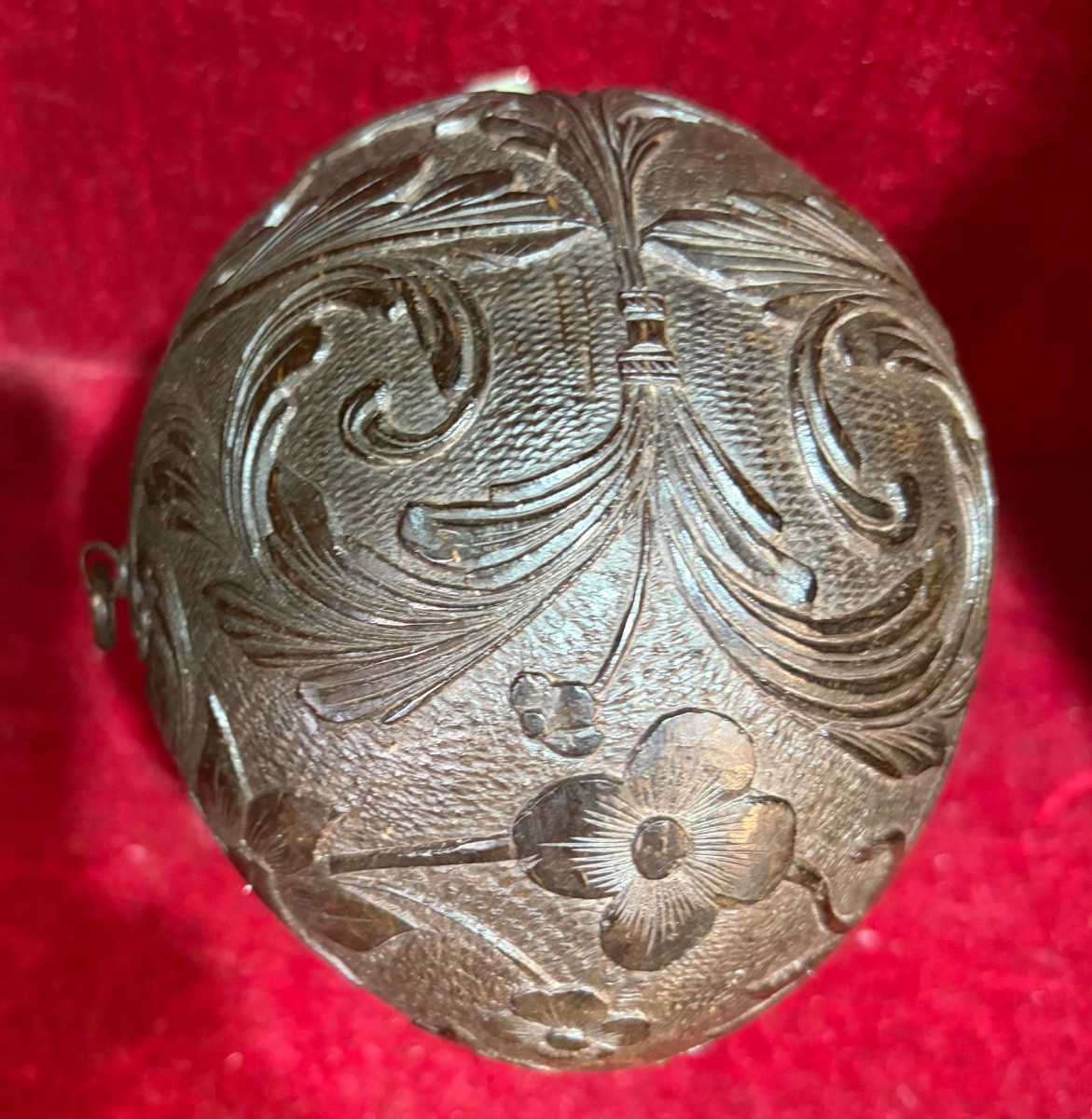 Engraved Coconut, Powder Flask Or Gourd, Silver Stopper, Early 19th Century.-photo-4