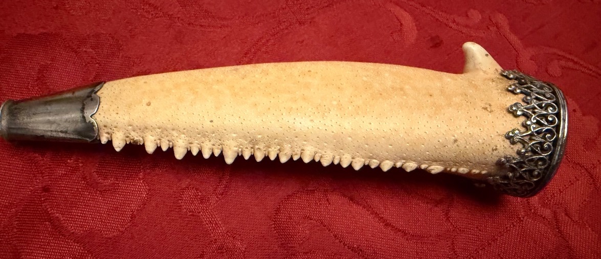 A Remarkable Cigar Holder Made From A Crab Claw, Set In Silver. Early 20th Century.-photo-2