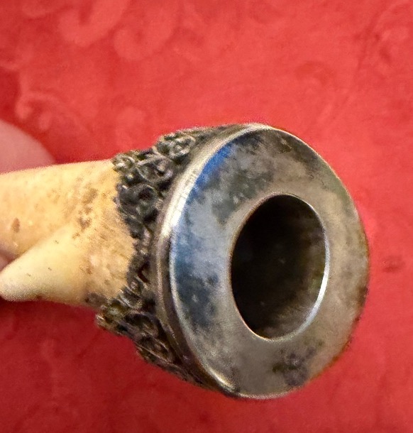 A Remarkable Cigar Holder Made From A Crab Claw, Set In Silver. Early 20th Century.-photo-3