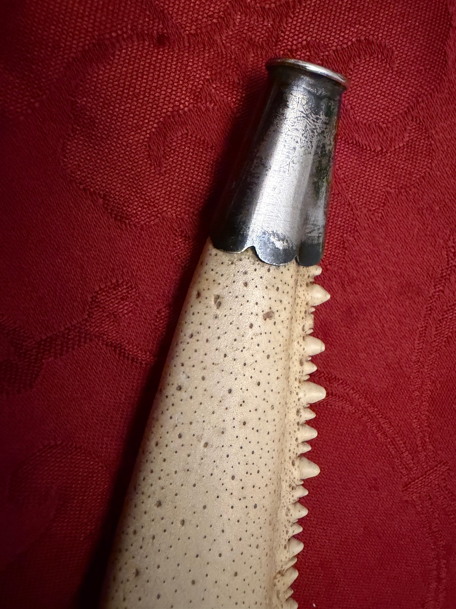 A Remarkable Cigar Holder Made From A Crab Claw, Set In Silver. Early 20th Century.-photo-2