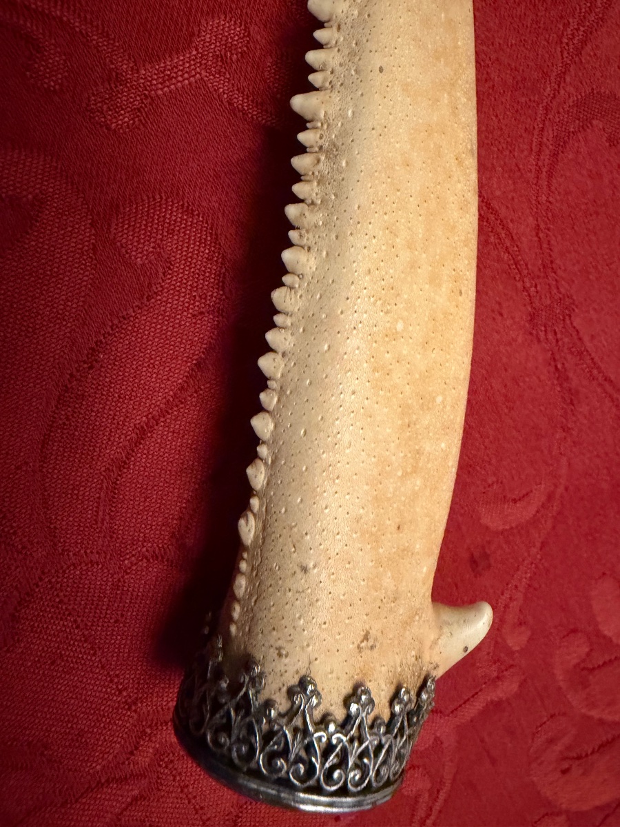 A Remarkable Cigar Holder Made From A Crab Claw, Set In Silver. Early 20th Century.-photo-3