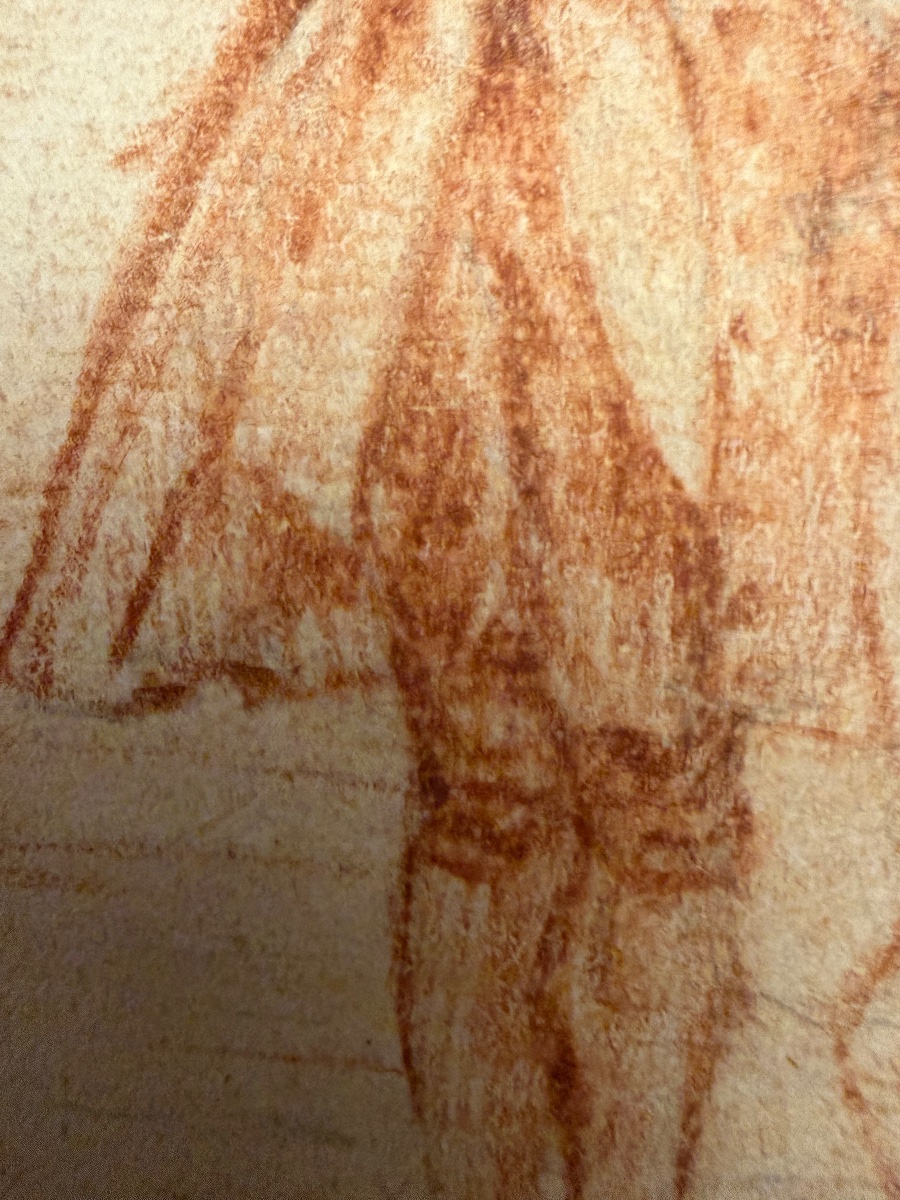 A Small Red Chalk Drawing Depicting The Silhouette Of A Young Gentleman. A Collector's Item, 18th Century.-photo-3