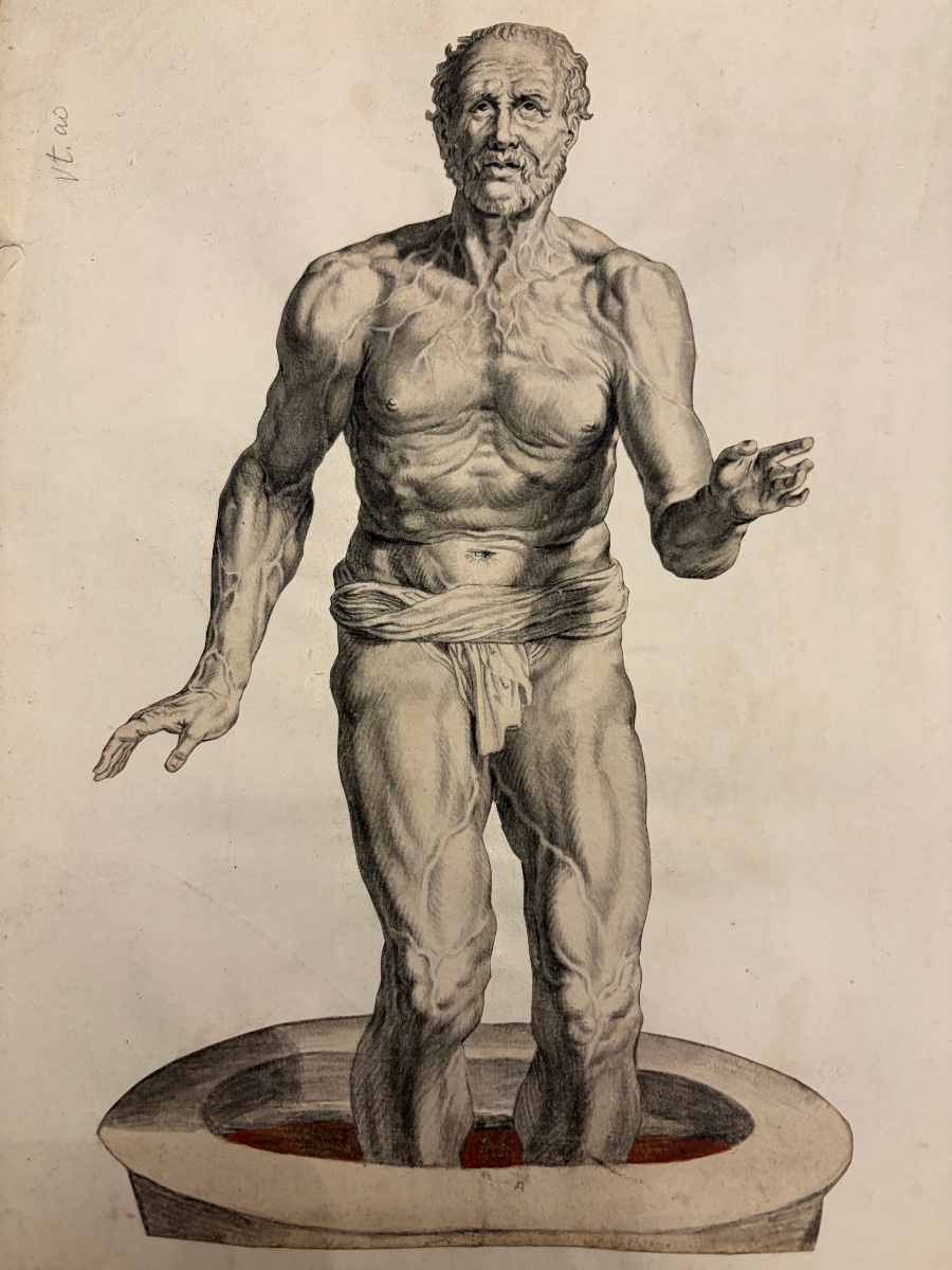 Étonnante étude académique, XVII eme siecle. Homme nu, les pieds dans une cuve. Dessin découpé.