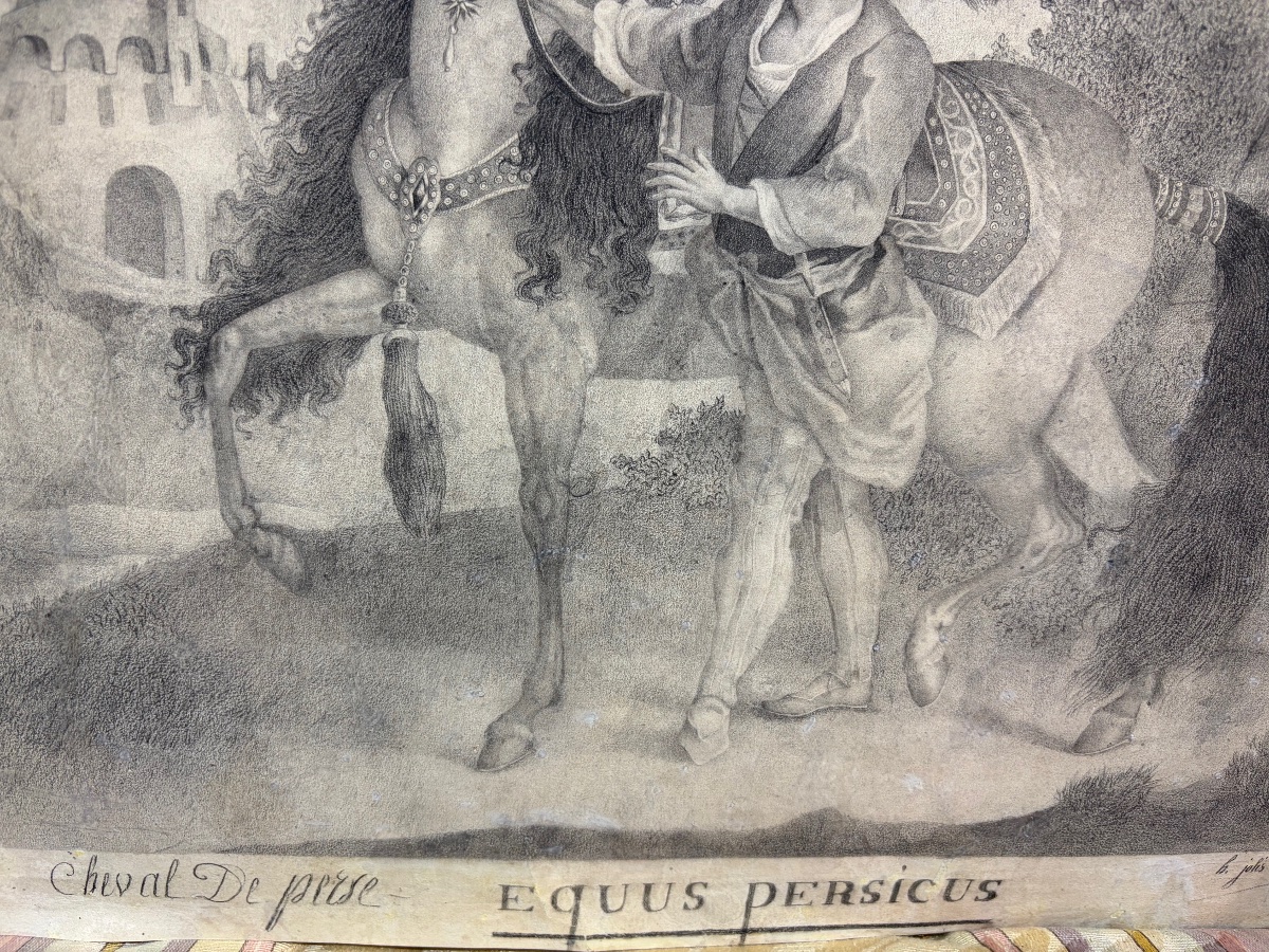 Black Chalk Drawing, Dated 1822, “the Persian Horse.”-photo-4