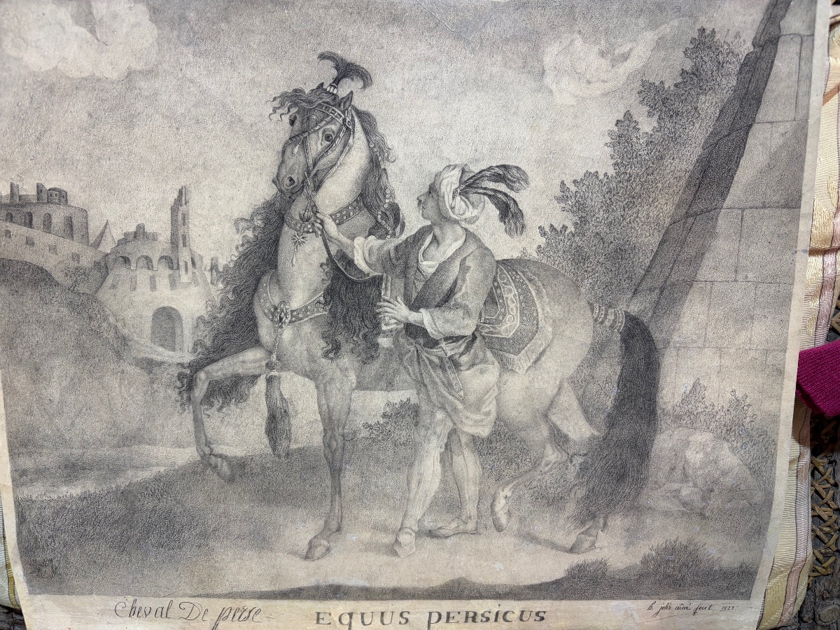 Black Chalk Drawing, Dated 1822, “the Persian Horse.”-photo-7