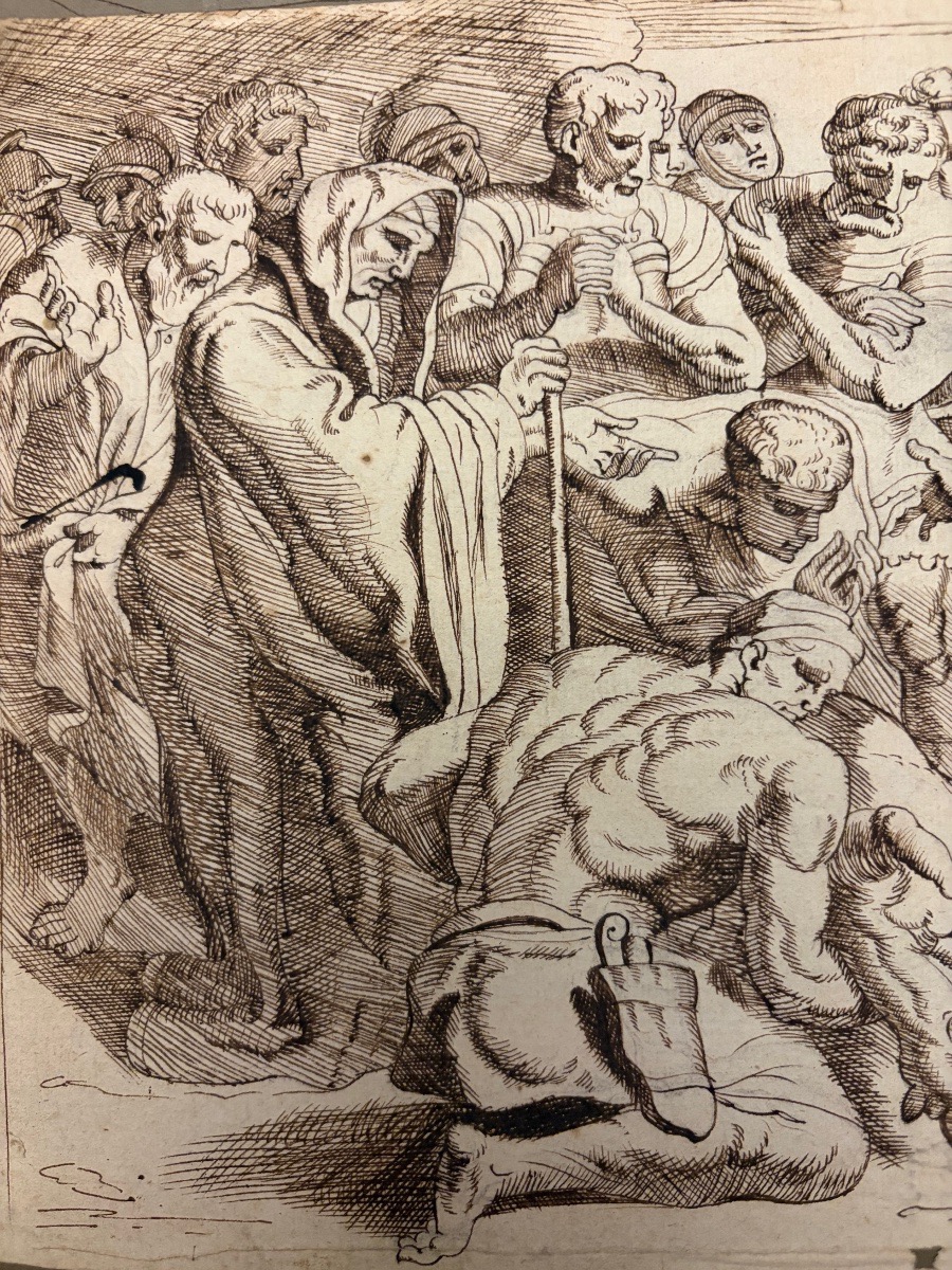 Dessin à la plume, d’après le Primatice , extrait de l’Odyssée, Ulysse égorgeant des brebis noi-photo-7