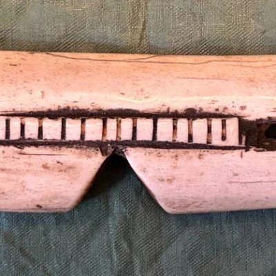 Premiere-Image-1740791