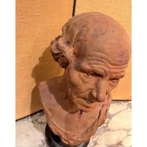 Beautiful Head In Tinted Plaster Colored Terracotta, Signed Houdon On The Back.