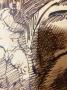 1767211-alb-6a16d3bc46b6f.jpg