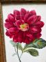 1788442-6a47ded66936e.jpg