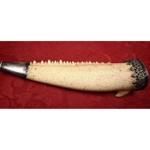 A Remarkable Cigar Holder Made From A Crab Claw, Set In Silver. Early 20th Century.