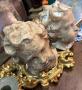 1796648-alb-6a5cfbdae7672.jpg