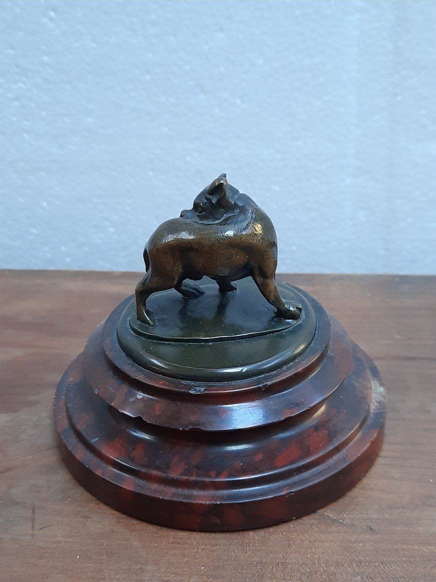 Le chien se mordant en bronze XIXème -photo-2