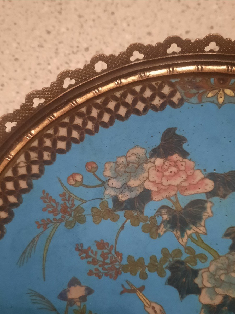 Nineteenth Canton Plate-photo-1