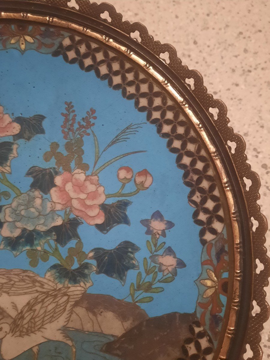Nineteenth Canton Plate-photo-3