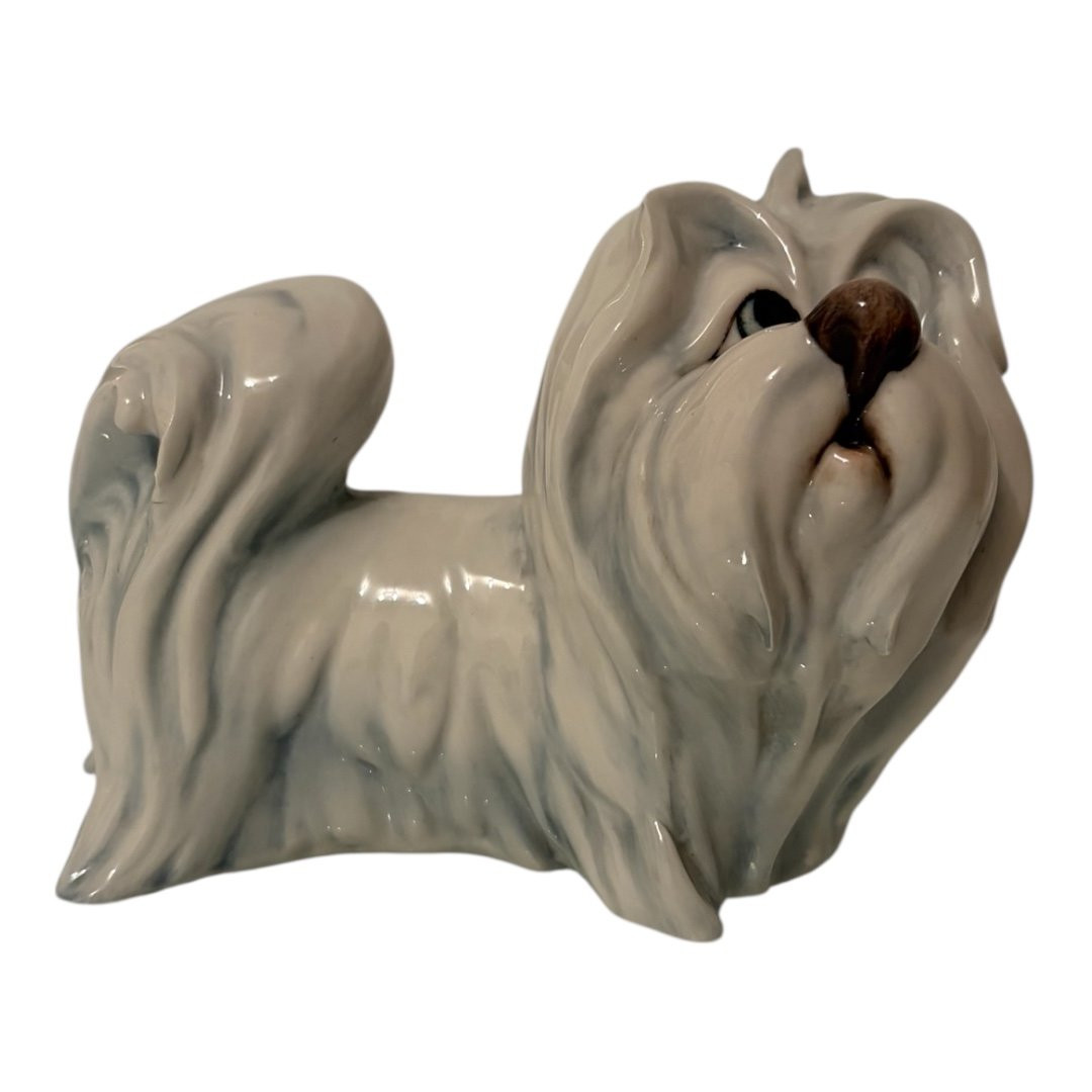Porcelain Sculpture,  Maltese Dog, By Silvio Righetto For Manifattura Cacciapuoti-photo-1