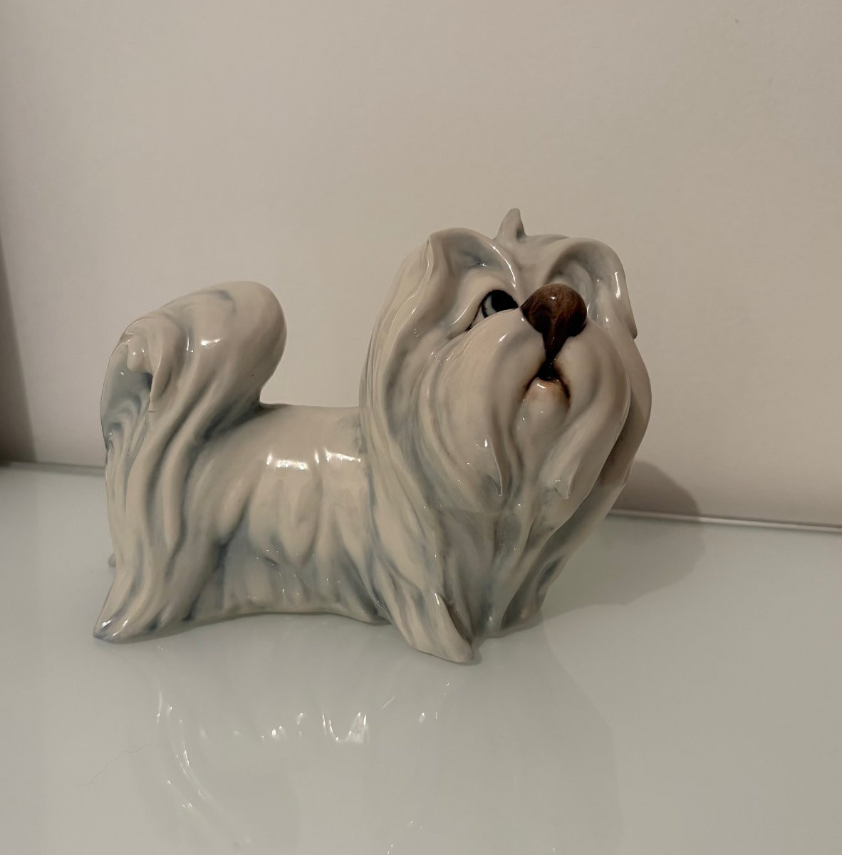 Porcelain Sculpture,  Maltese Dog, By Silvio Righetto For Manifattura Cacciapuoti-photo-5