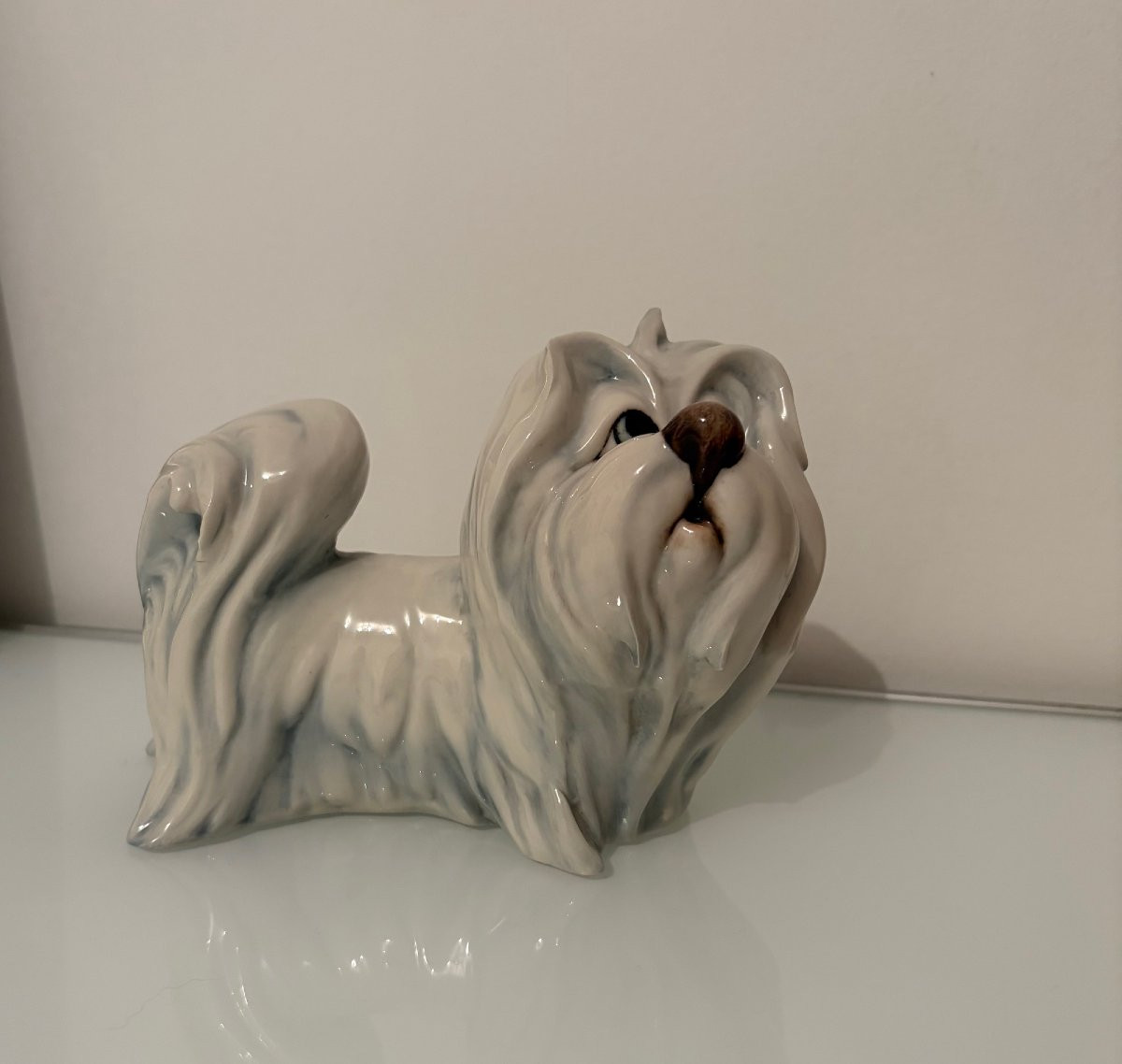 Porcelain Sculpture,  Maltese Dog, By Silvio Righetto For Manifattura Cacciapuoti-photo-6