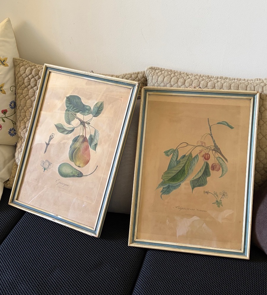 Pair Of Botanical Prints And Engravings, Pierre Antoine Poiteau (1766–1854)-photo-2
