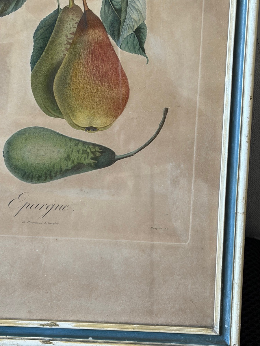 Pair Of Botanical Prints And Engravings, Pierre Antoine Poiteau (1766–1854)-photo-1