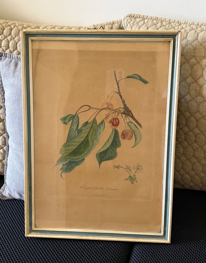 Pair Of Botanical Prints And Engravings, Pierre Antoine Poiteau (1766–1854)-photo-4