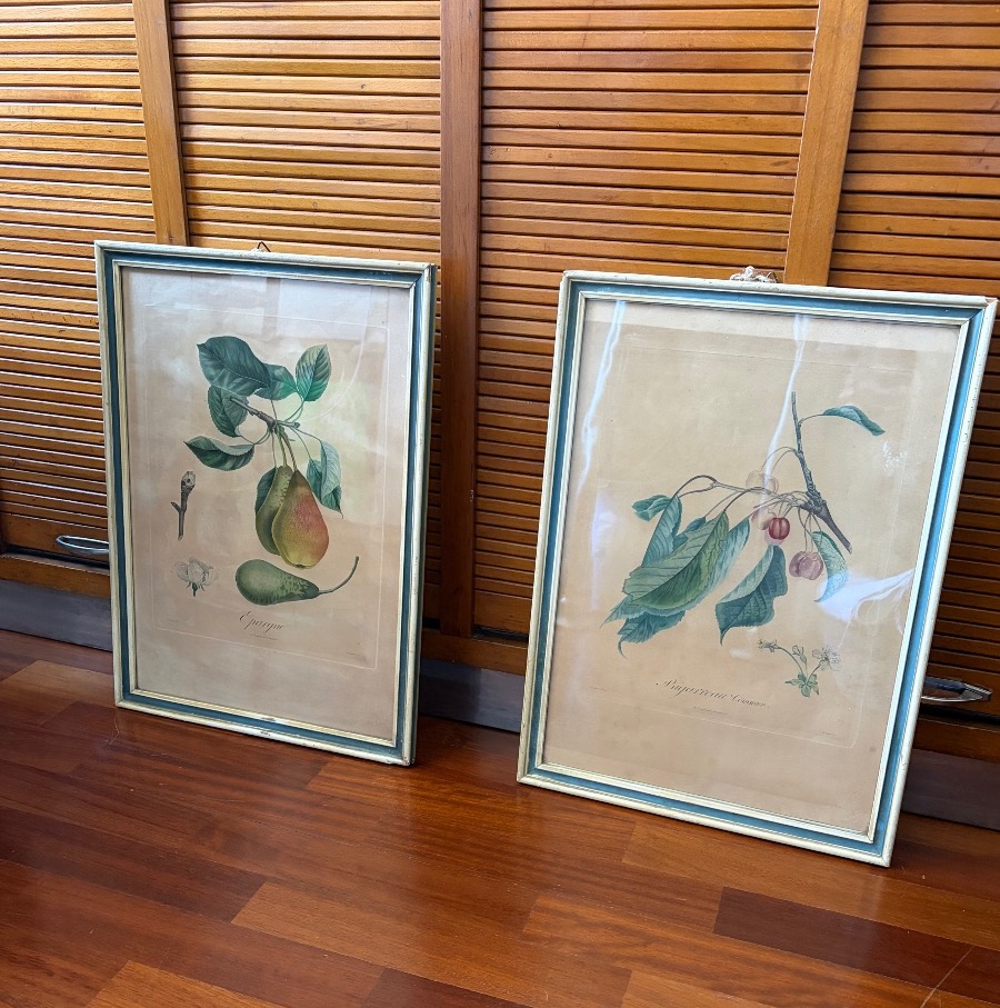 Pair Of Botanical Prints And Engravings, Pierre Antoine Poiteau (1766–1854)-photo-6