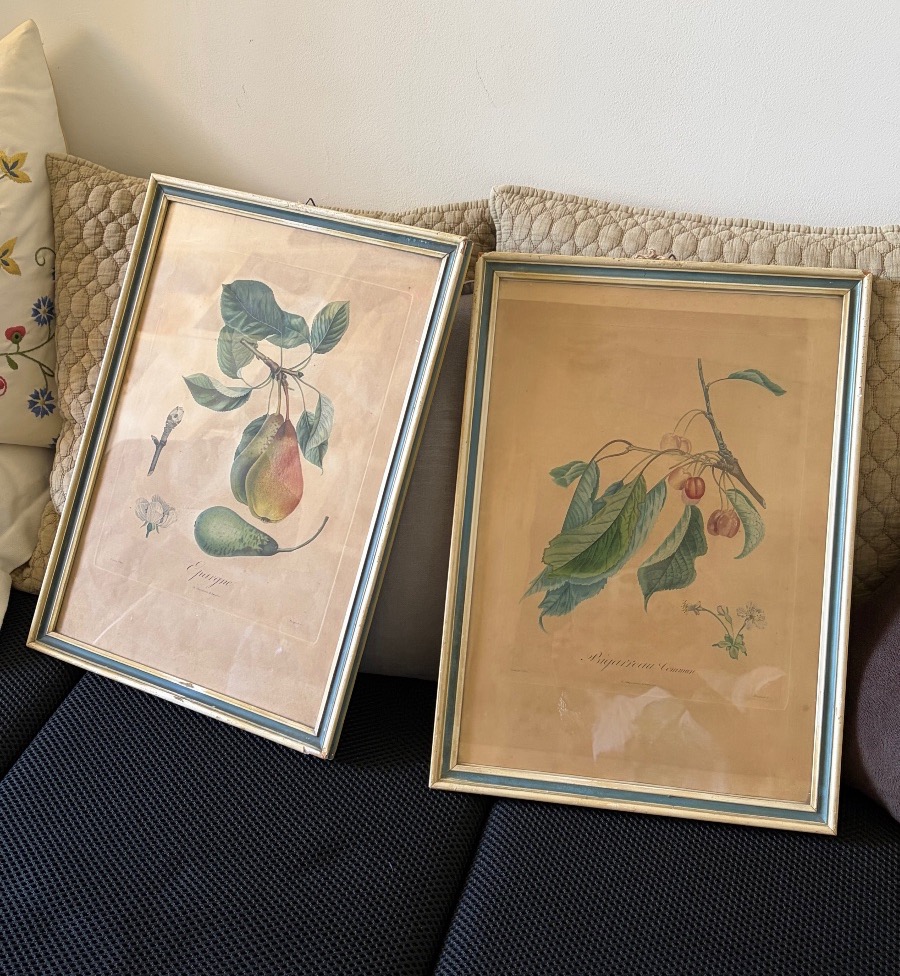 Pair Of Botanical Prints And Engravings, Pierre Antoine Poiteau (1766–1854)-photo-7