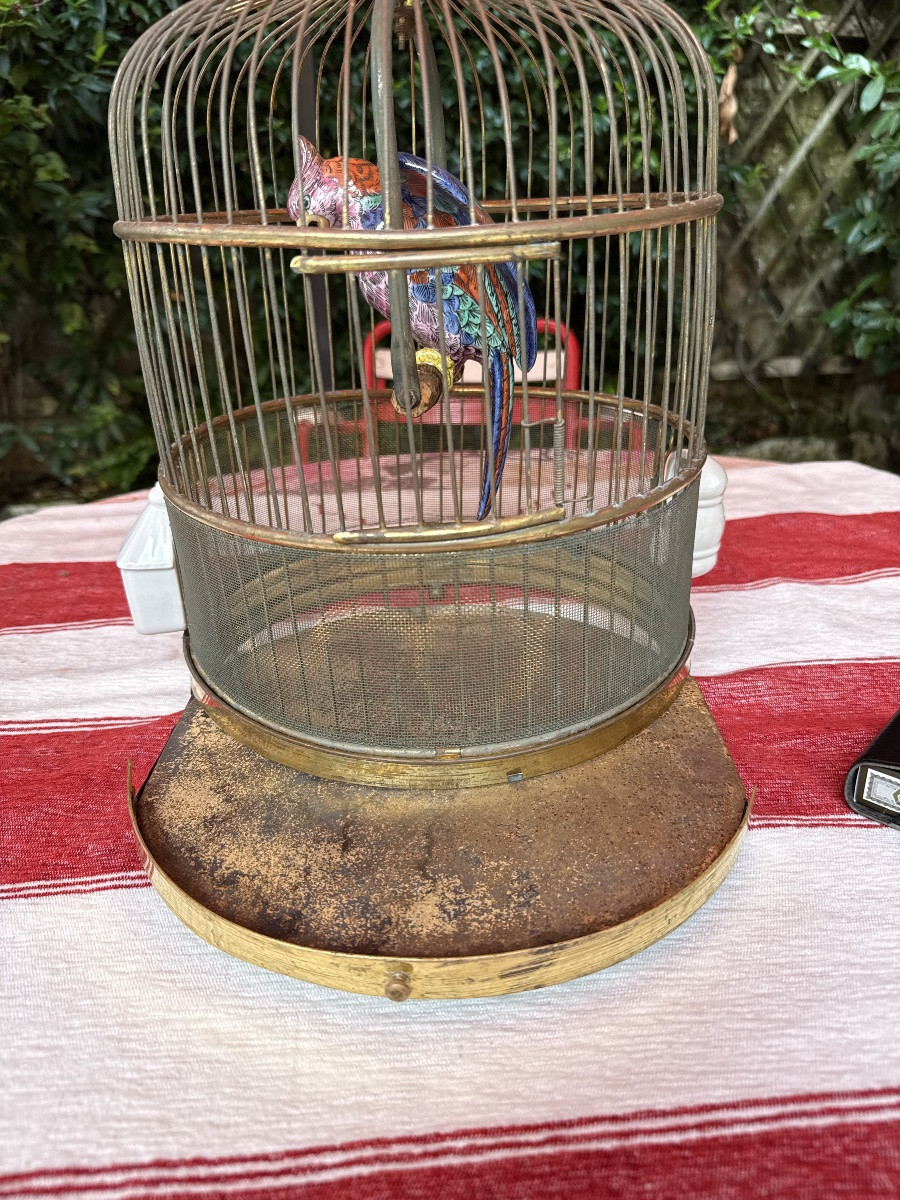 Brass Bird Cage -photo-3