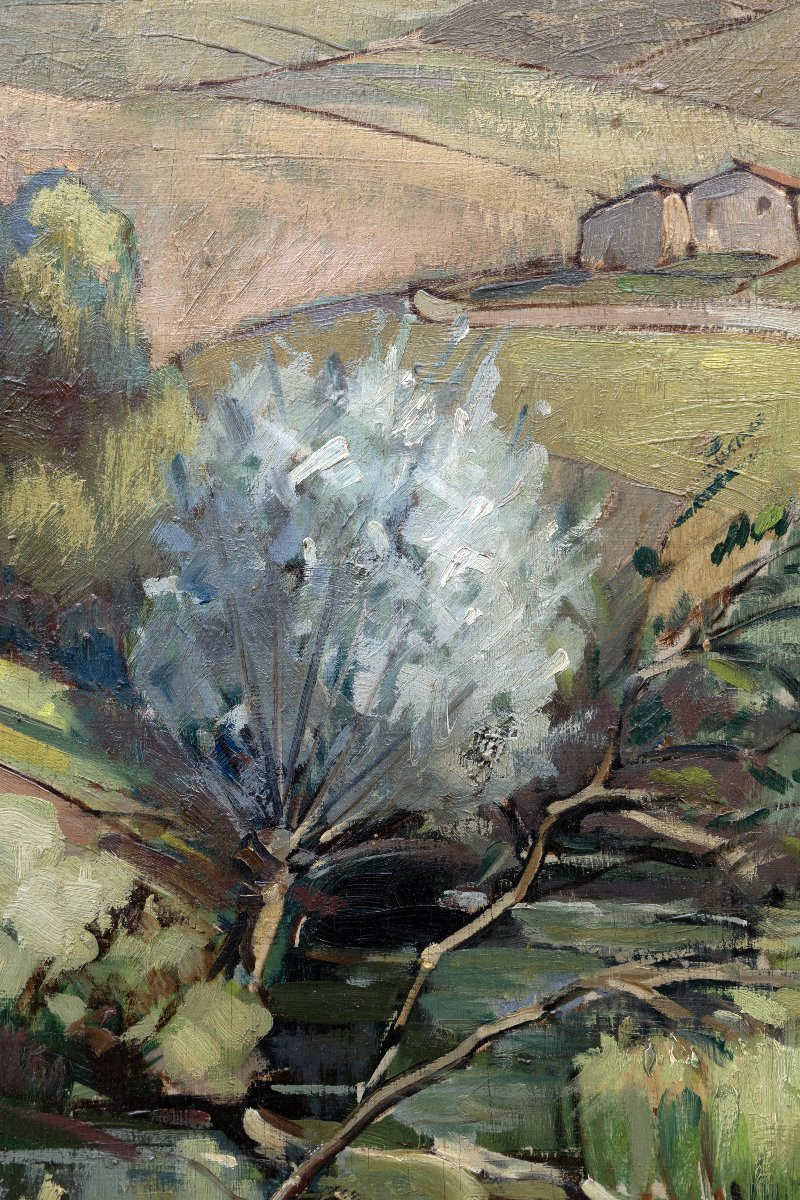Louis Marcy – Provençal Landscape – Oil On Panel - Signed-photo-1