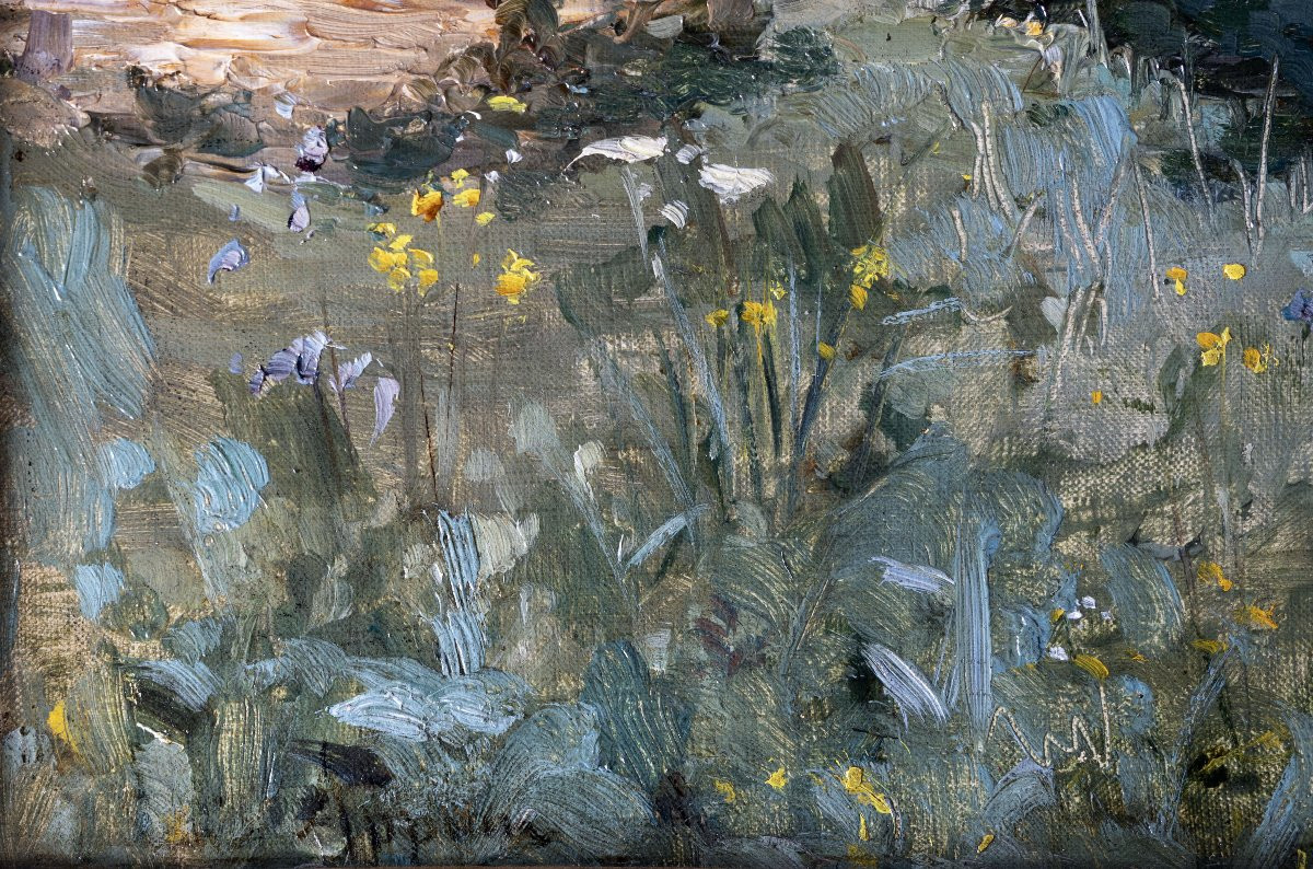 Adolphe Appian - Rural Landscape With Thatched Cottage - Oil On Canvas - Signed-photo-3