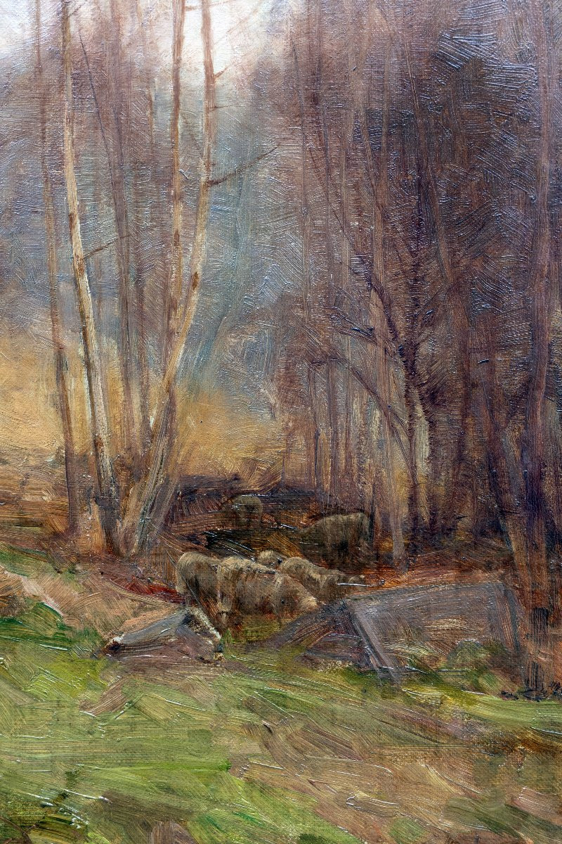 William Edwin TINDALL – Sous-bois en automne – Huile sur toile – Signée-photo-1