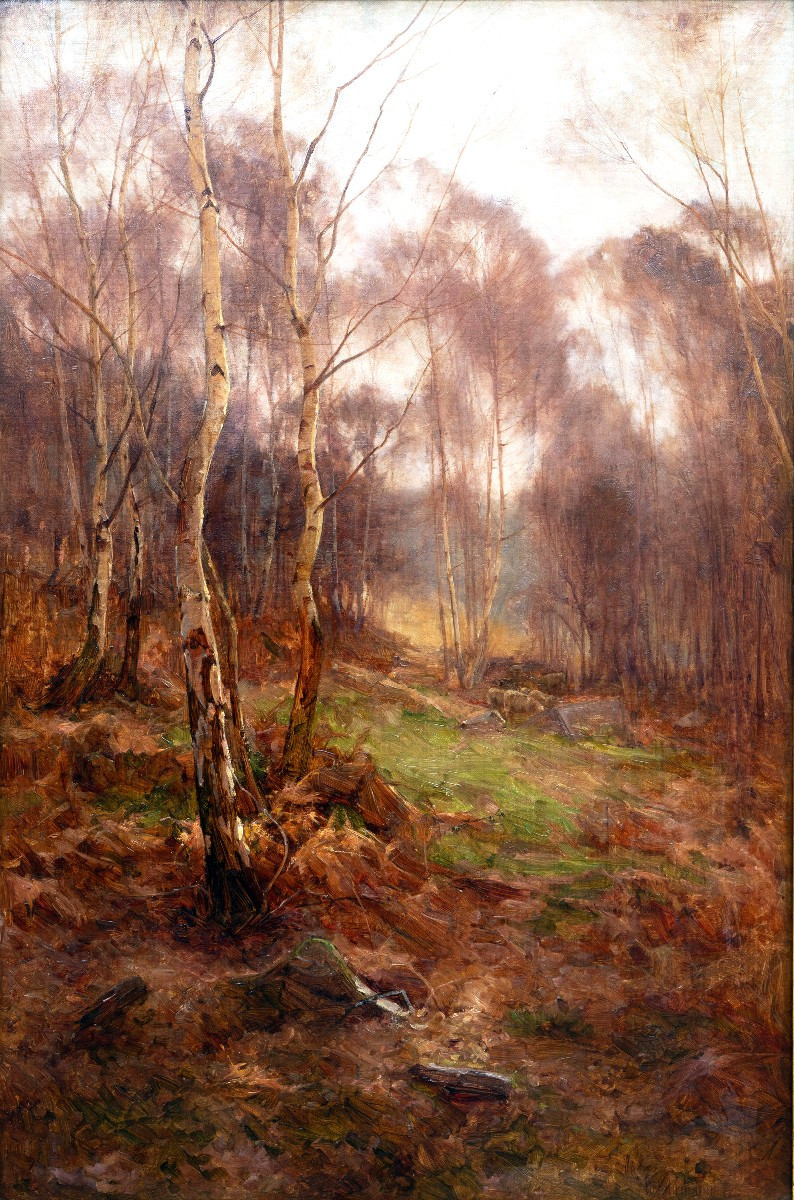 William Edwin TINDALL – Sous-bois en automne – Huile sur toile – Signée
