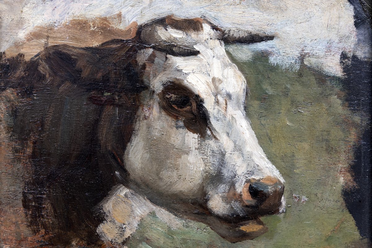 Alphonse STENGELIN – Tête de bovin – Huile sur panneau - Signée -photo-1
