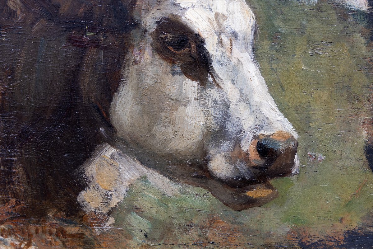 Alphonse STENGELIN – Tête de bovin – Huile sur panneau - Signée -photo-2
