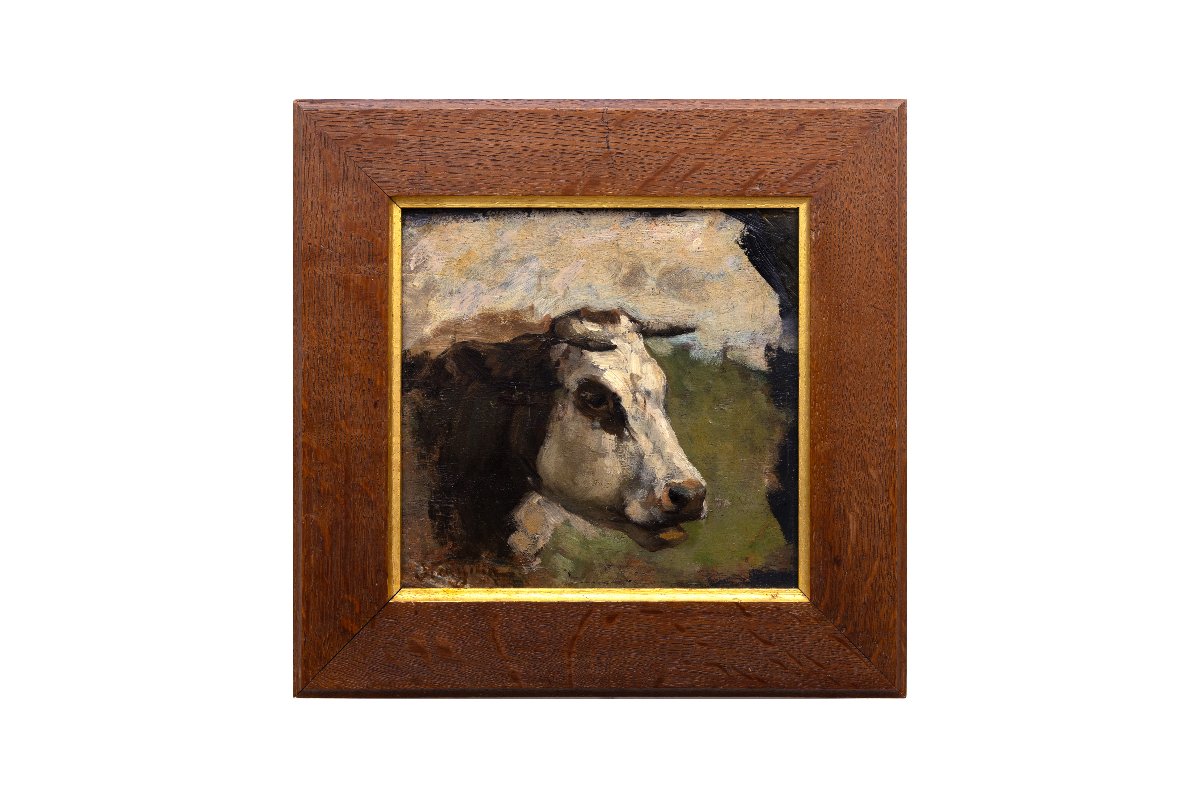 Alphonse STENGELIN – Tête de bovin – Huile sur panneau - Signée -photo-4