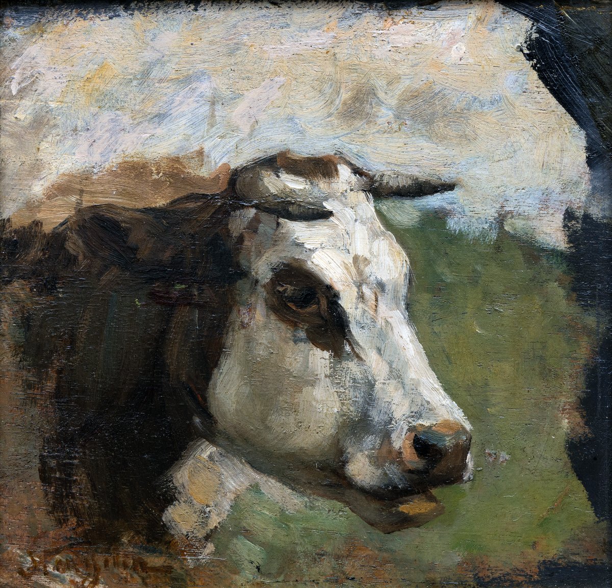 Alphonse STENGELIN – Tête de bovin – Huile sur panneau - Signée 