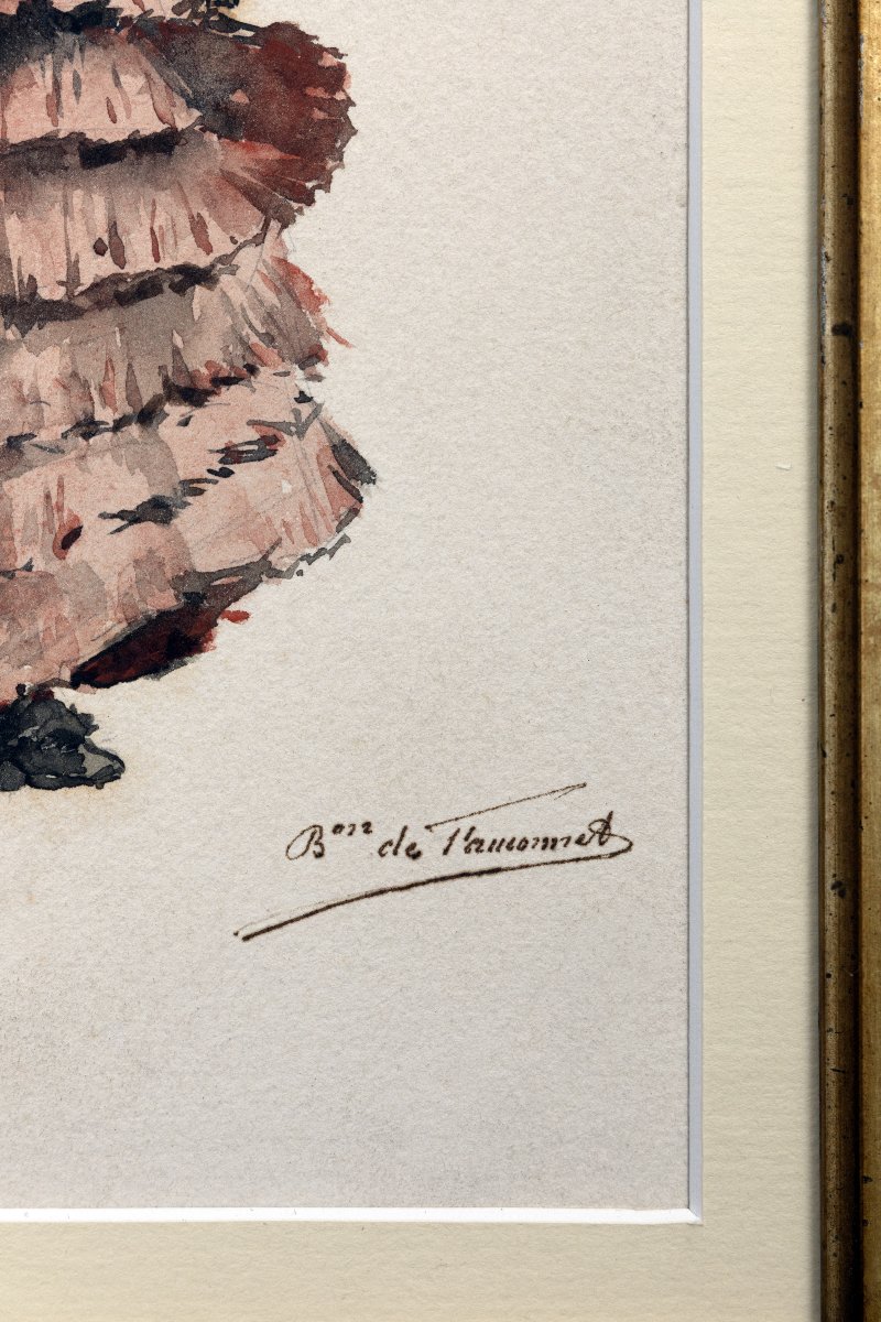 Élégante à l'ombrelle - Aquarelle - Vers 1880 - Signée-photo-3